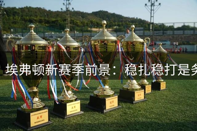 埃弗顿新赛季前景：稳扎稳打是务实之选